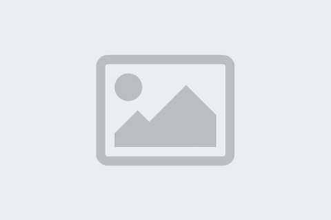 Chartered Director – Mar 2023