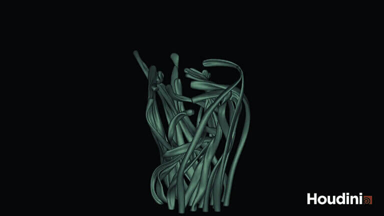 Q4 2024 Portfolio Spotlight - Rapid (2020)