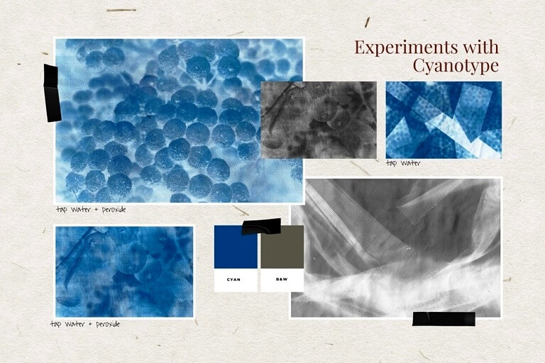 Q1 2025 Portfolio Spotlight - Experiments with Cyanotype (2022)