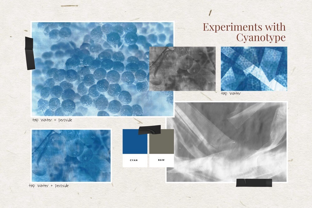 Q1 2025 Throwback Spotlight - Experiments with Cyanotype (2022)