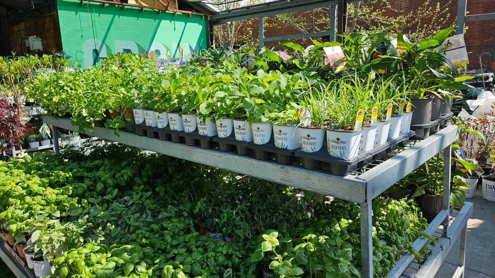 Plant Nursery Stewart – Mar 2025