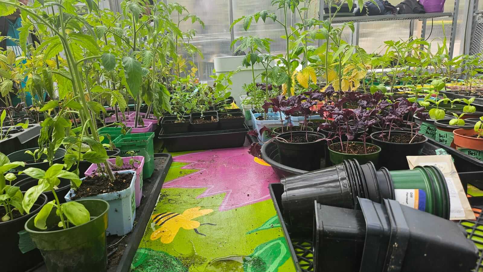 Gardening & Stewardship Program – May 2025