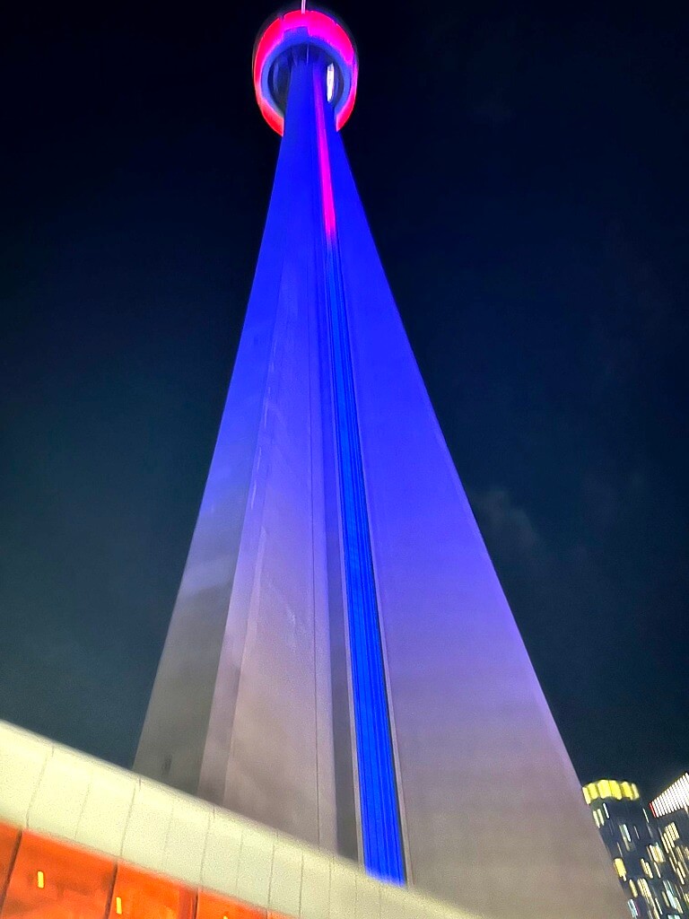 Tropics, Ponds, Parks, Flowers, Cake - Nov 2025