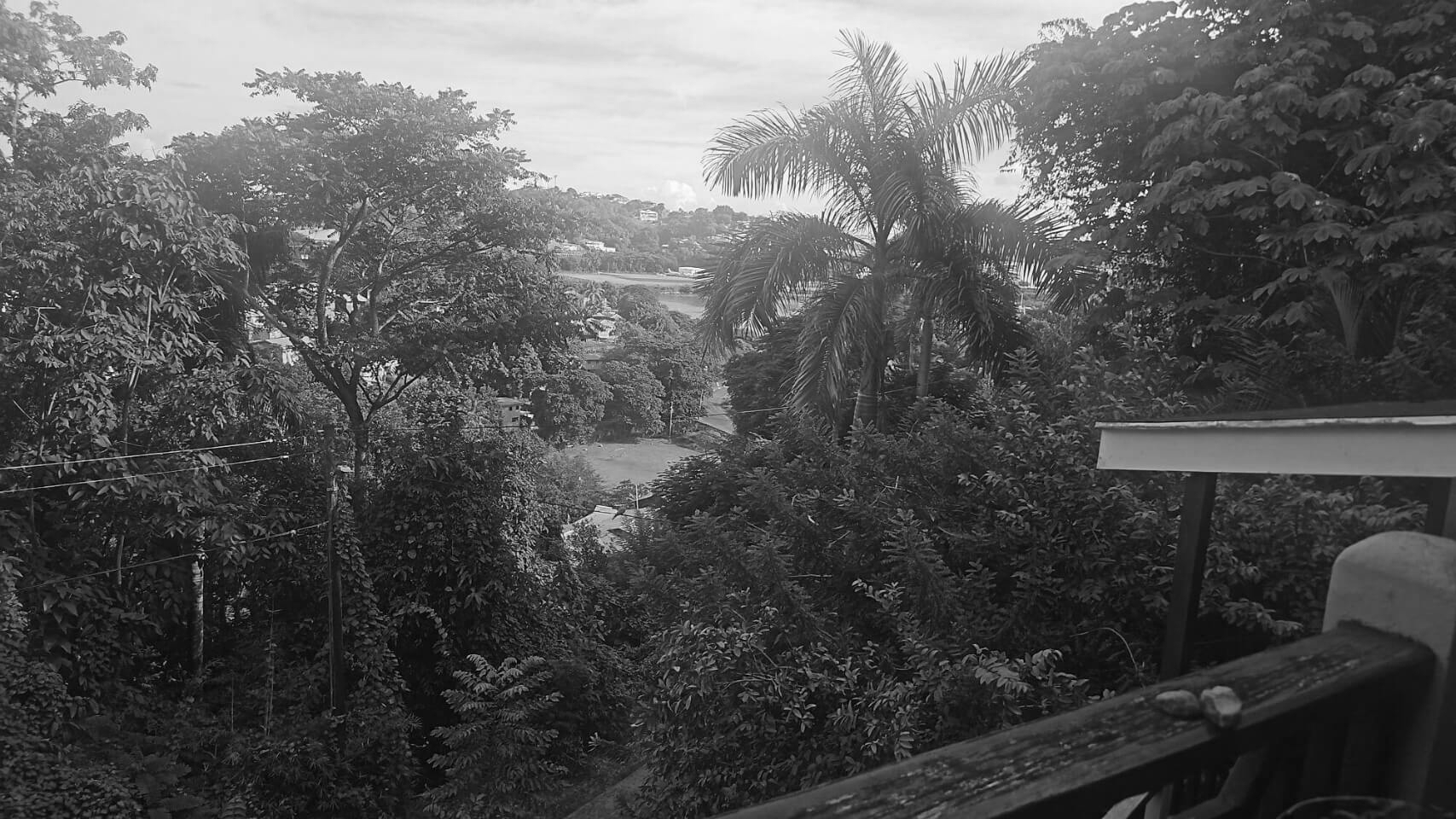 Tropics, Ponds, Parks, Flowers, Cake - Nov 2025